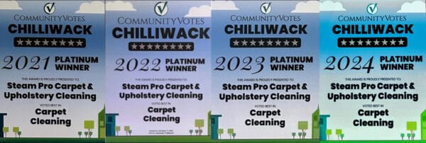 Awards combined 2021 2024